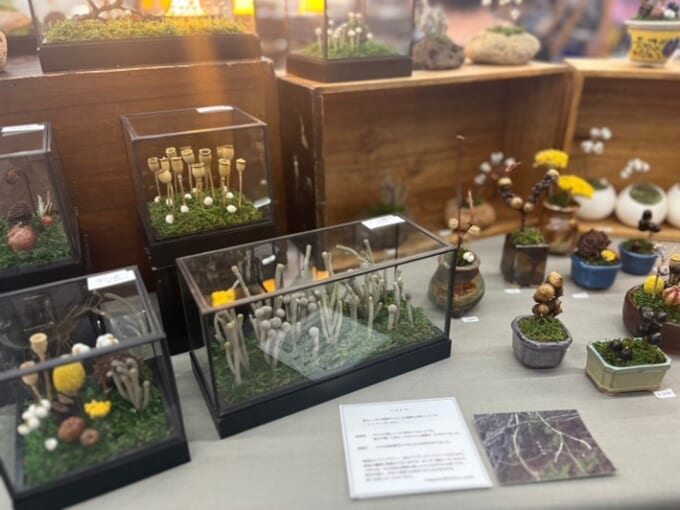 ⑭tabisuru_neem　さん